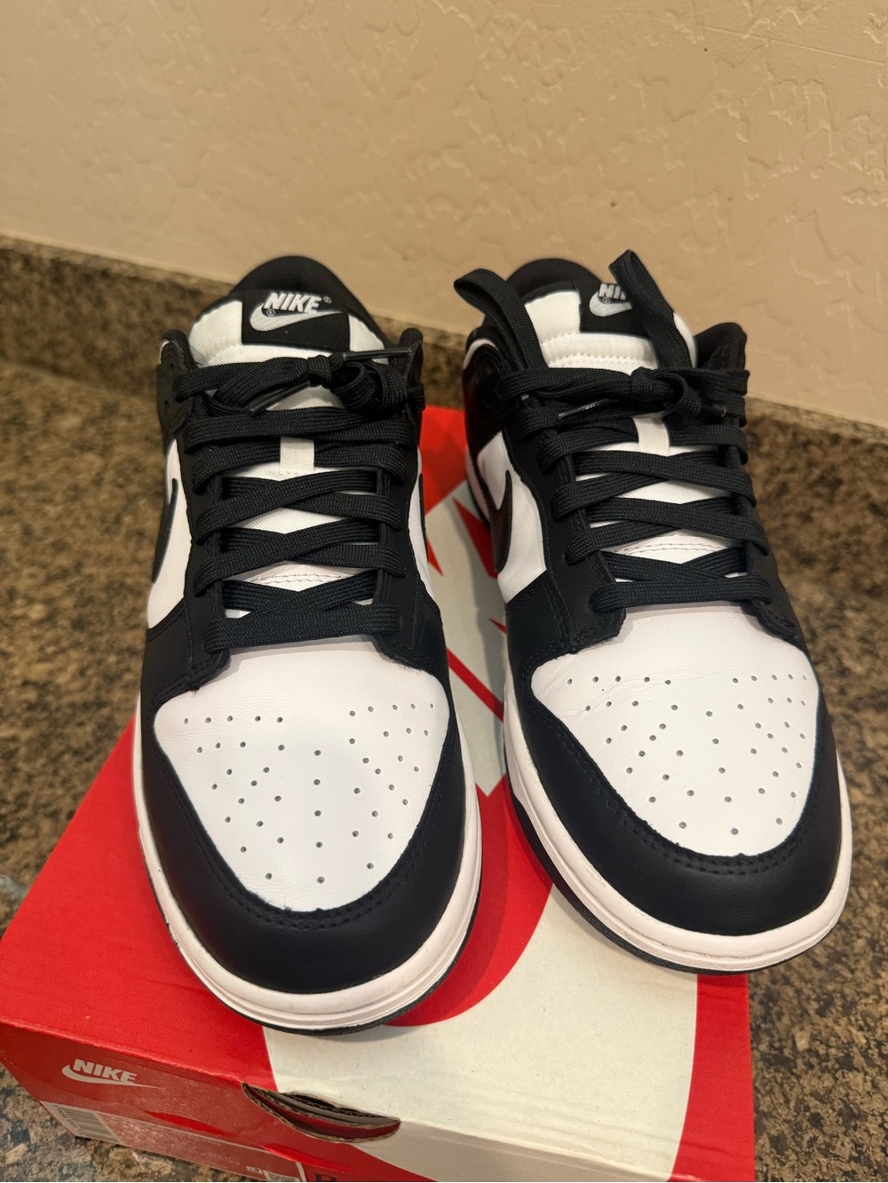 Nike Dunk Low Retro “Panda”